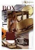 Box Trend Cover