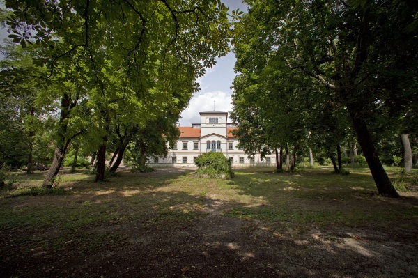 The Future of Tradition